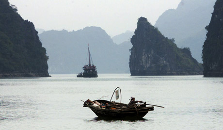 Việt Nam sẽ cung cấp vào thị trường Nga 60 triệu đôla phi lê cá tra