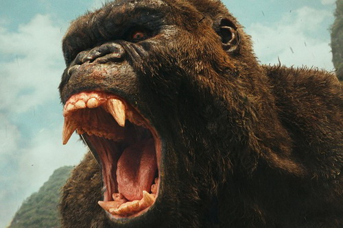 'Kong' đã gầm vang tại phòng vé, nhưng chưa đủ lớn