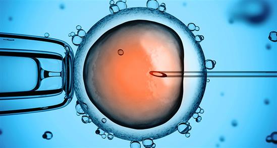 Đột phá lớn: Các nhà khoa học chỉnh sửa được gen trong phôi thai