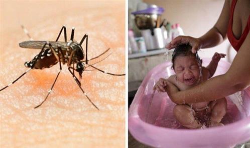 Virus Zika có thể kéo lùi nhân loại 2 triệu năm