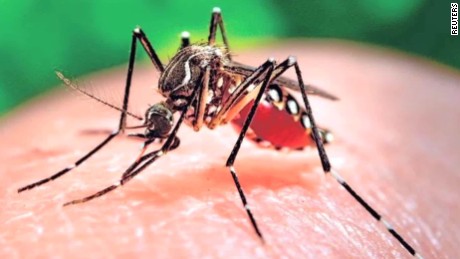 Pháp phát hiện trường hợp đầu tiên nhiễm virus Zika qua đường tình dục