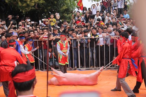 Lễ hội chém lợn Bắc Ninh: Máu tươi đẫm sân đình
