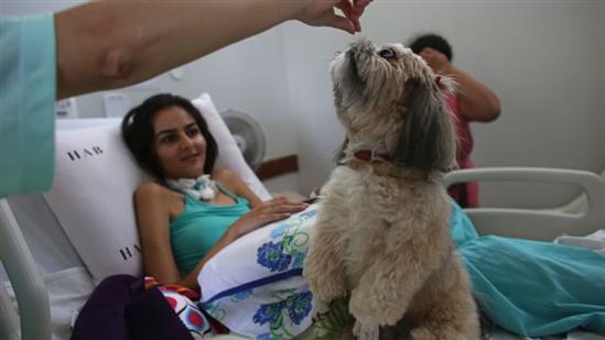 Brazil: Đưa chó vào bệnh viện hỗ trợ điều trị ung thư cho bệnh nhân