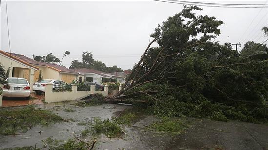 Bão Irma trút cơn thịnh nộ xuống Florida