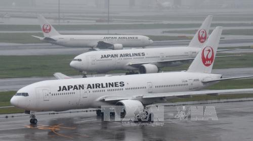 Bão Talim đổ vào Nhật Bản, hàng trăm chuyến bay bị hủy