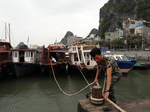 Quảng Ninh-Hải Phòng cấm biển, căng mình ứng phó bão số 7