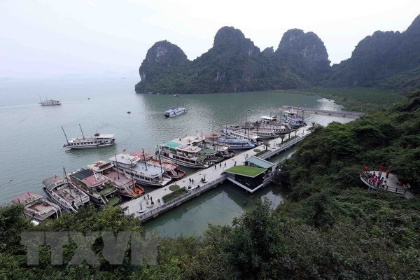 Quảng Ninh cấm tàu du lịch từ ngày 16/9 để ứng phó siêu bão Mangkhut