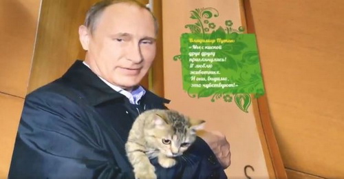 ẤN TƯỢNG: Ông Putin ôm... mèo nhưng chuẩn 'soái ca' trên lịch 2017