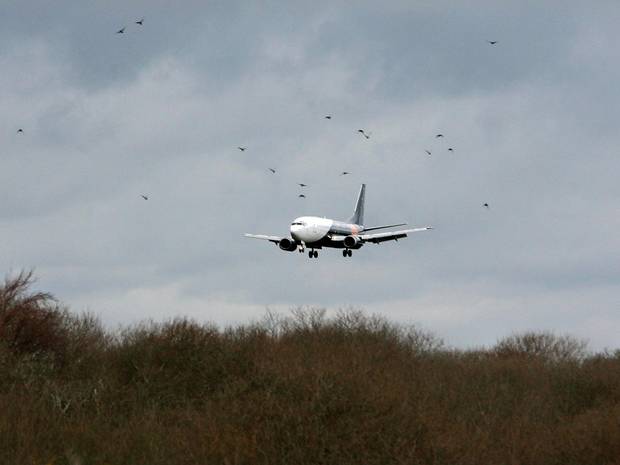 Nga: Máy bay hạ cánh khẩn cấp vì hỏng động cơ
