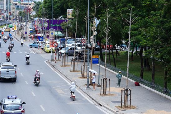 Hàng cây 'không còn sức sống' trên phố Nguyễn Chí Thanh