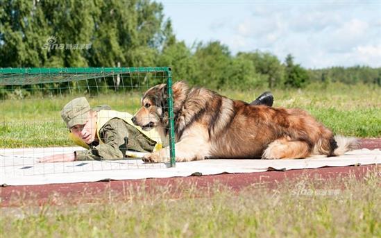Điều chưa biết về chó Becgie Đức của Quân đội Nga