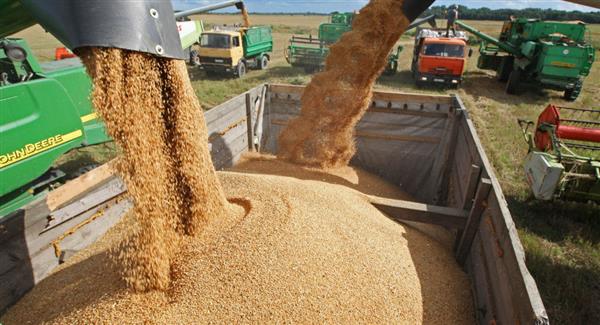 Bloomberg: Nga cung cấp lúa mì cho 50% các nước trên thế giới