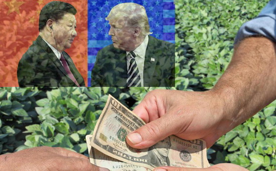 Chiến tranh thương mại Mỹ-Trung: Món quà bất ngờ, Nga nhanh tay chìa đất 