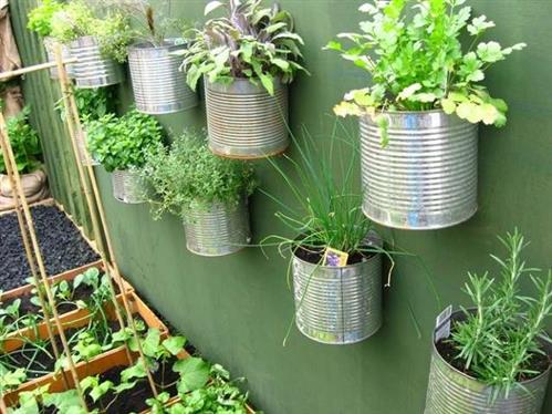 Những ý tưởng trồng vườn rau xanh mini trong nhà