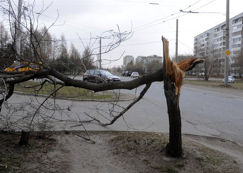 Tiếp tục cảnh báo mưa bão ở Moskva và vùng ngoại  ô