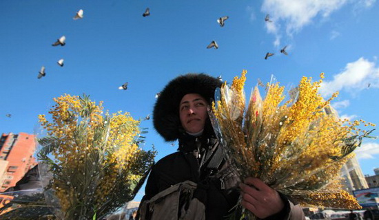 Các công viên Moskva tặng hoa cho phái đẹp vào dịp 8 tháng Ba