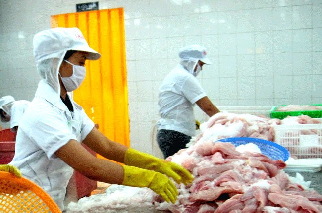 Nga sẽ hủy bỏ lệnh tạm ngưng nhập khẩu cá tra từ Việt Nam