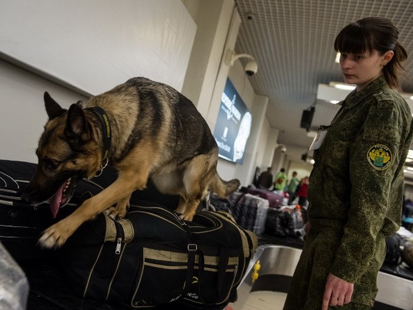 Kẻ bí ẩn dọa đánh bom sân bay Domodedovo ở Moskva
