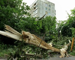 Moskva: Gió to  làm 60 cây gãy đổ, 1 người thiệt mạng