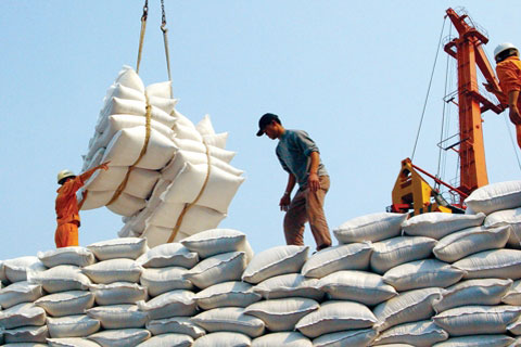 Xuất khẩu gạo Việt Nam đã phụ thuộc thị trường Trung Quốc