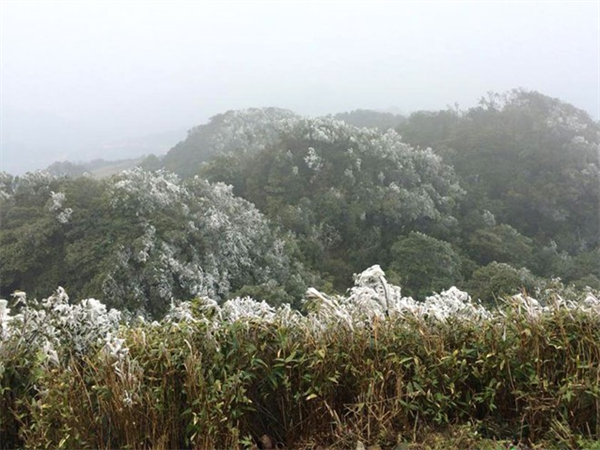 Băng tuyết trắng xóa trên cây, tuyệt đẹp tại Mẫu Sơn
