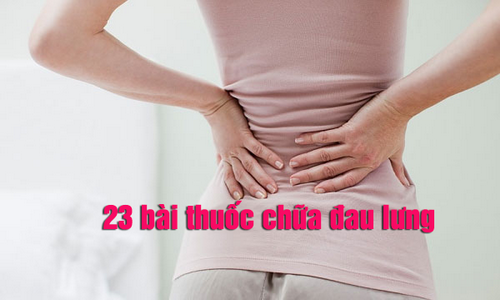 23 bài thuốc chữa đau lưng