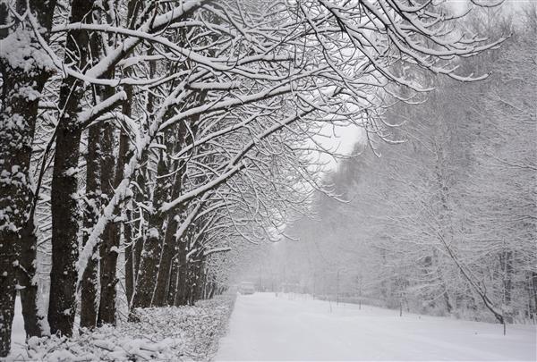 Moskva: Tuyết rơi dày kỷ lục