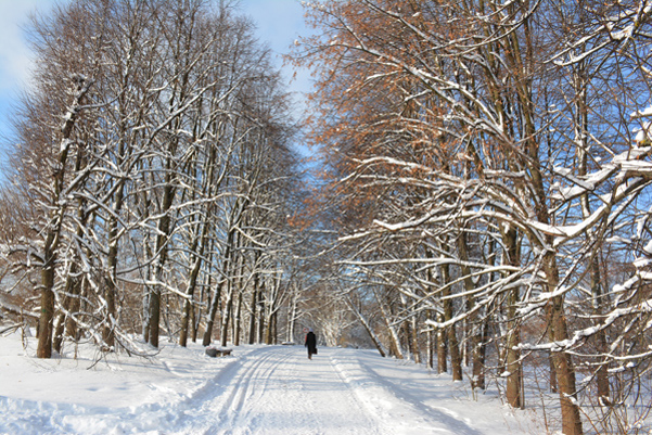 Moskva ghi nhận nhiệt độ kỷ lục mới trong mùa đông năm nay