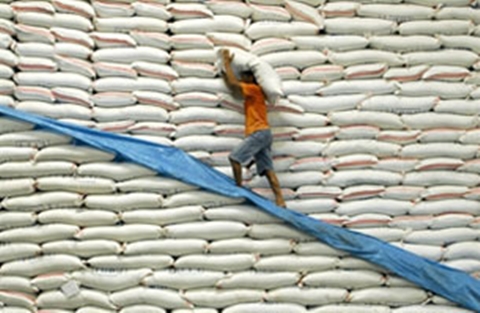 Trung Quốc cấm nhập khẩu gạo từ Việt Nam