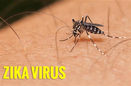 2 người Việt đầu tiên nhiễm Zika