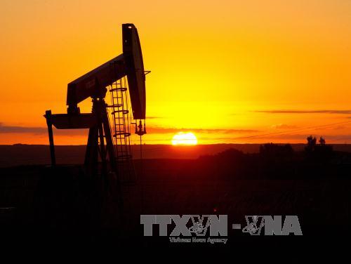 Giá dầu tăng trên thị trường thế giới