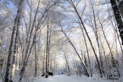 Bộ ảnh số 1: Mùa đông Tomsk