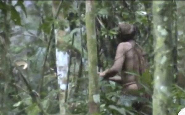 Người đàn ông cô độc nhất thế gian: Sống một mình suốt 22 năm trong khu rừng rậm Amazon
