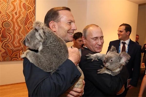 Tổng thống Putin, bà Tập Cận Bình chụp ảnh lưu niệm cùng gấu Koala