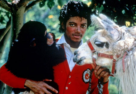 Đột nhập khu biệt thự “trong mơ” của Michael Jackson