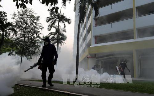 Thêm nhiều trường hợp nhiễm virus Zika tại Singapore