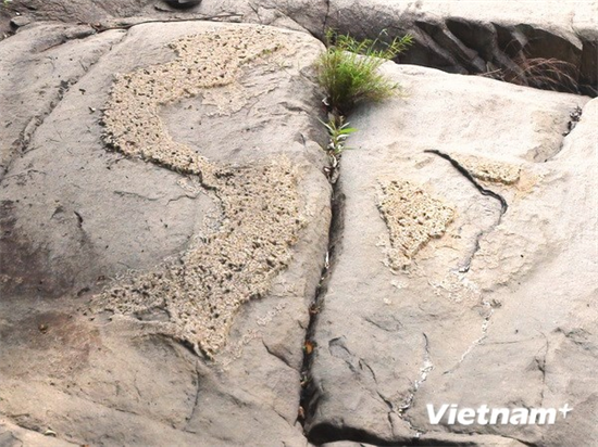 Phát hiện phiến đá nổi lên hình ảnh về bản đồ Việt Nam