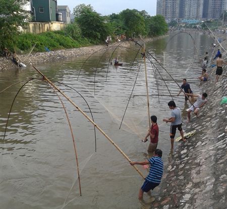 Nhộn nhịp cảnh đánh bắt cá trên sông Tô Lịch