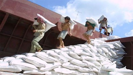 Thêm dấu hiệu TQ điều khiển thị trường gạo Việt Nam