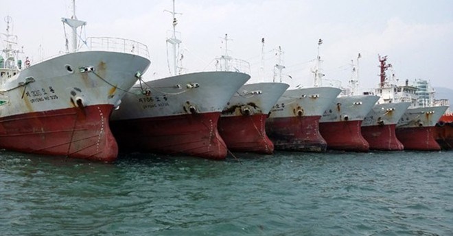 Soi tàu cá đồng nát triệu đô đại gia thuỷ sản xin nhập ưu đãi