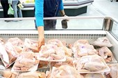Mỹ không phá giá thịt gà sang Việt Nam?