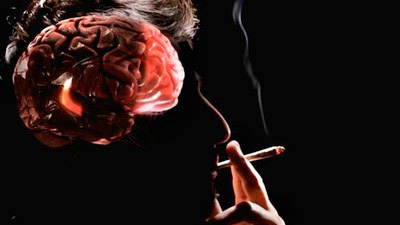 Hút thuốc lá làm mòn vỏ não của bạn