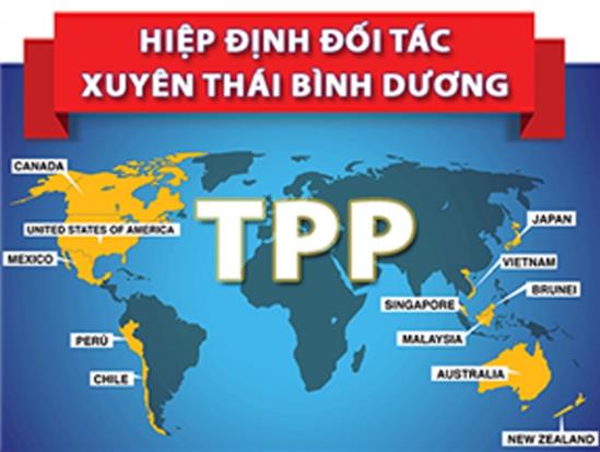 Để tham gia TTP và EVFTA thành công, Việt Nam cần chuẩn bị với tâm thế vững chắc