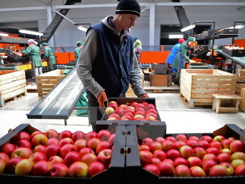 Nga sẽ kéo dài lệnh cấm vận thực phẩm đối với Phương Tây