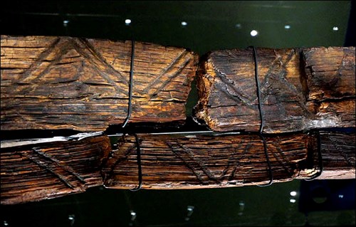 Bí ẩn tượng gỗ hơn 1 vạn năm không mục nát