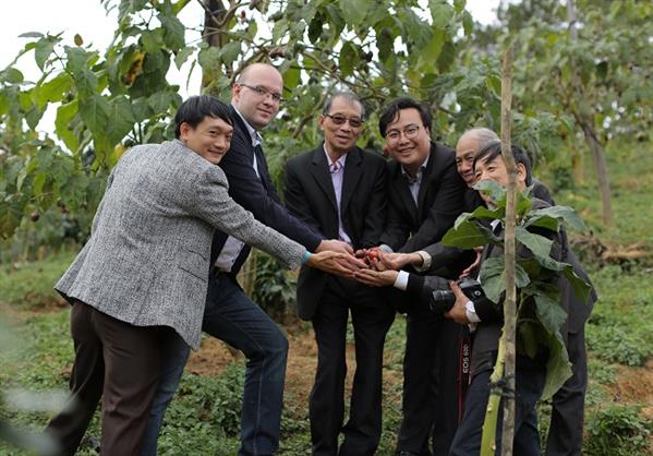 Doanh nghiệp Nga bất ngờ về cà chua thân gỗ tại Lâm Đồng