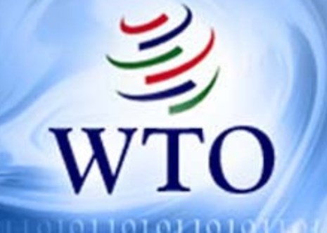8 năm Việt Nam gia nhập WTO: Nhiều cán bộ vẫn còn lơ mơ về hội nhập