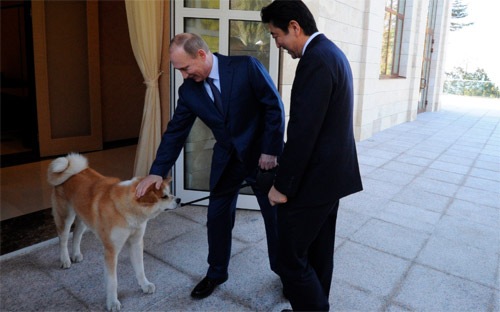 Putin - Abe tính gặp nhau tháng tới