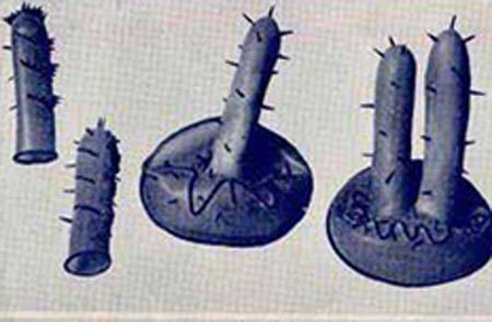 Sự thực về dụng cụ 'phá trinh' của phụ nữ Nhật