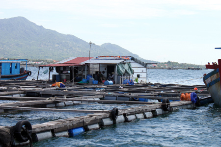 Yêu cầu kiểm tra vụ người Trung Quốc nuôi cá trên vịnh Cam Ranh